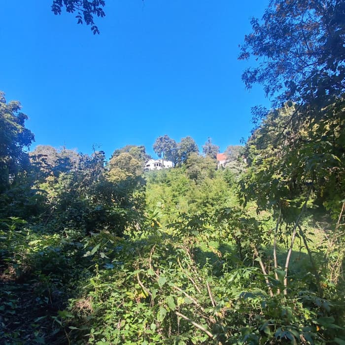 Finca en Venta de 9 manzanas en Fraijanes Guatemala - foto 4