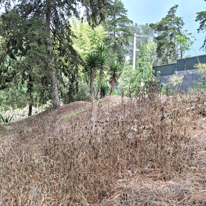 En Venta Terreno en Villa Ecuestre El Pulté Guatemala - foto 3