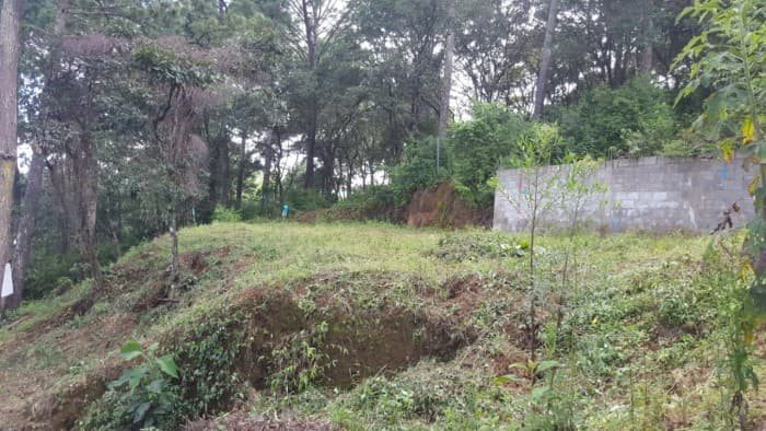 Terreno en venta en el Encinal Tronco 2  - foto 3
