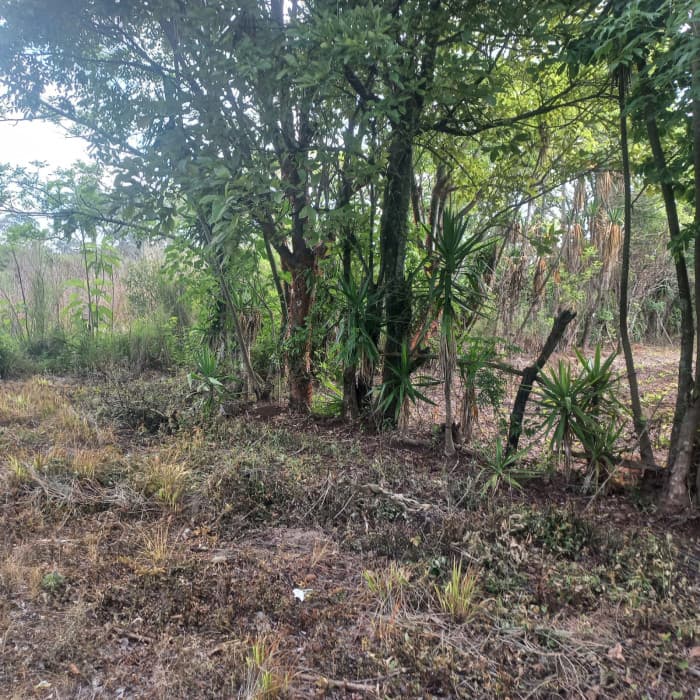  Terreno en venta Granjas Valle de Montebello/vas - foto 4
