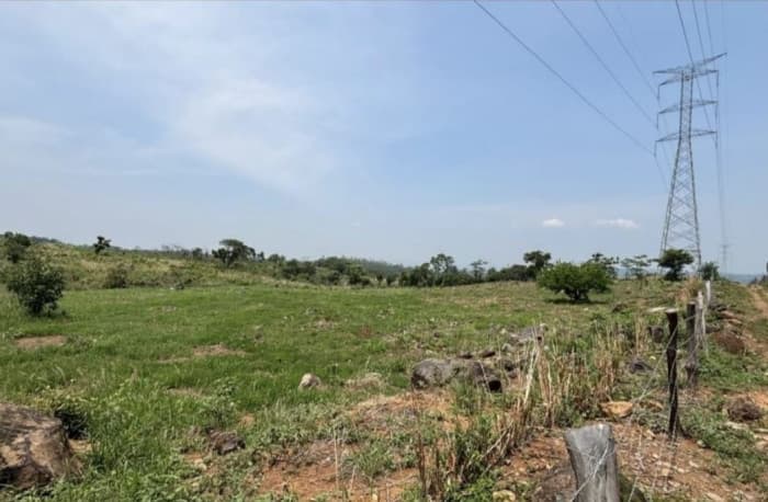 Terreno en venta de 29,818 M2 en Taxisco  - foto 2