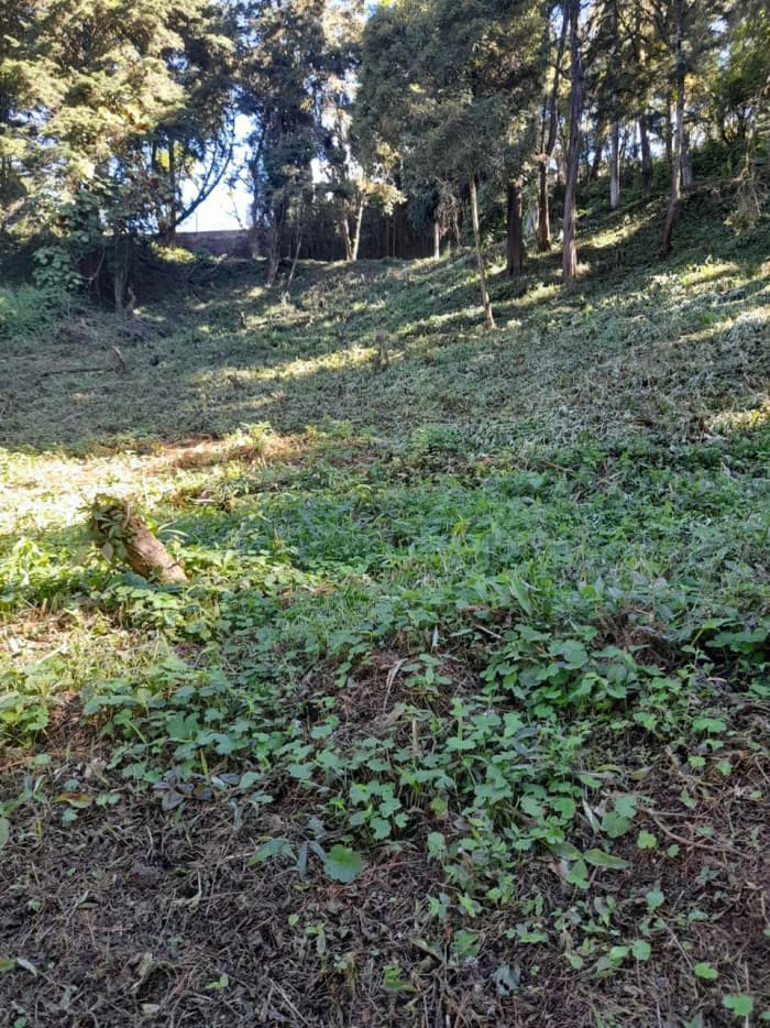 Terreno en Venta La Hondonada Santa Catarina Pinula - foto 3