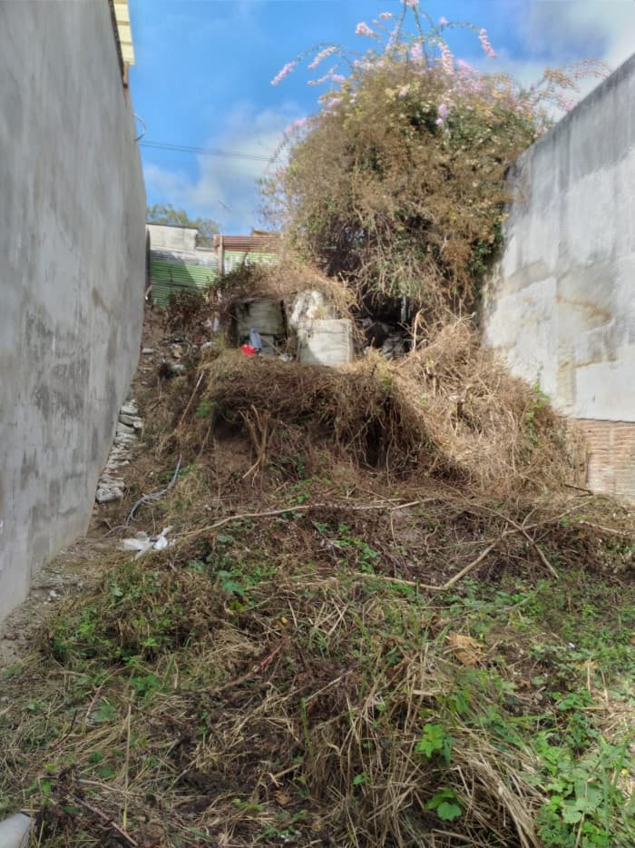 Terreno en Renta Ideal para uso Comercial en zona 2 - foto 3