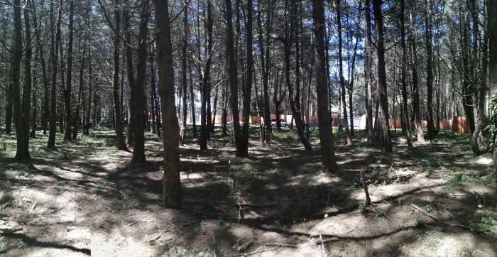 ESPECIAL Terreno en venta CAES Premier Campestre km 22 - foto 4