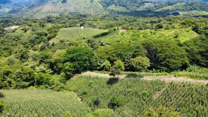 Terreno ideal para Desarrollo o inversion Villa Canales - foto 2