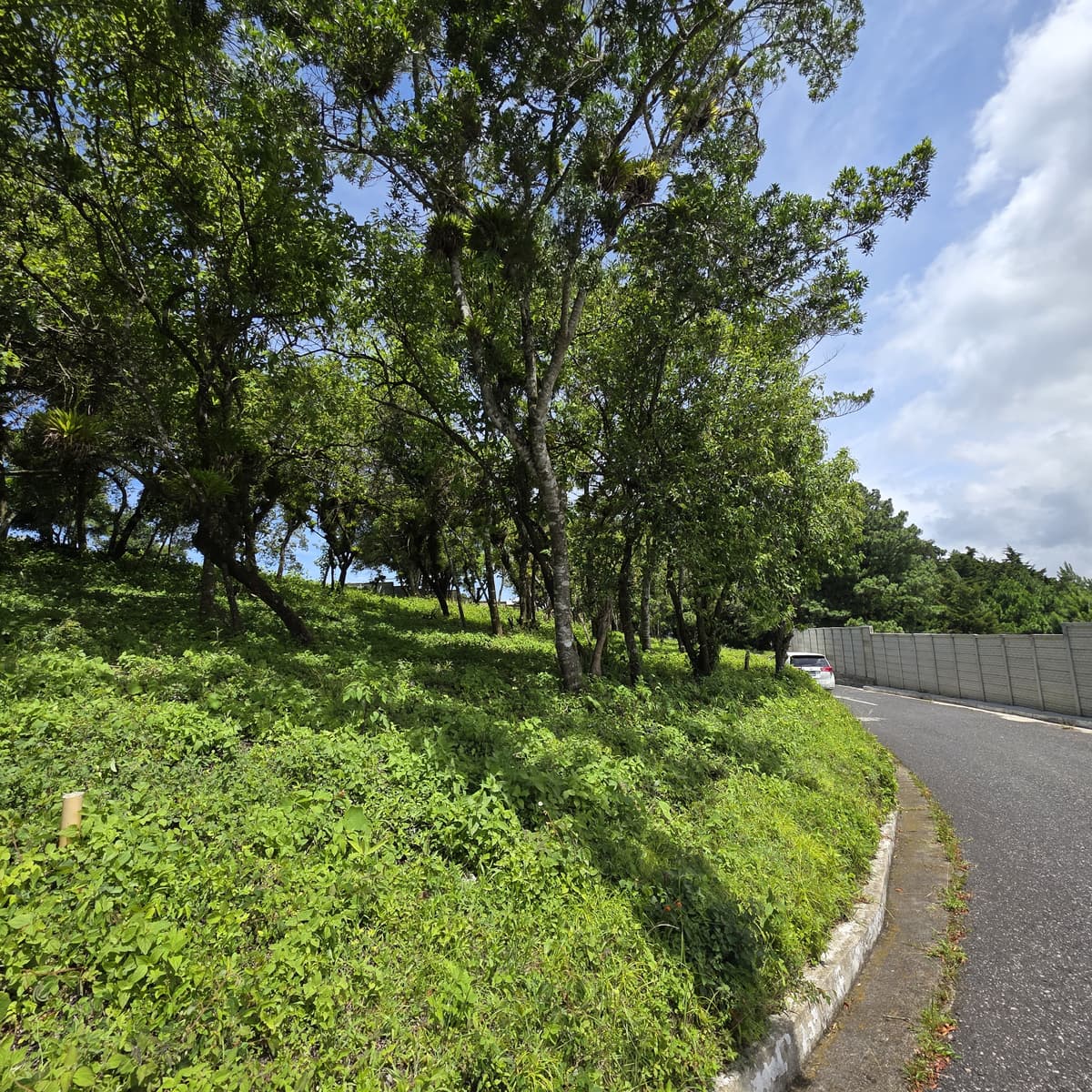 Terreno Venta Altos San Vicente Sta. Catarina Pinula - foto 2