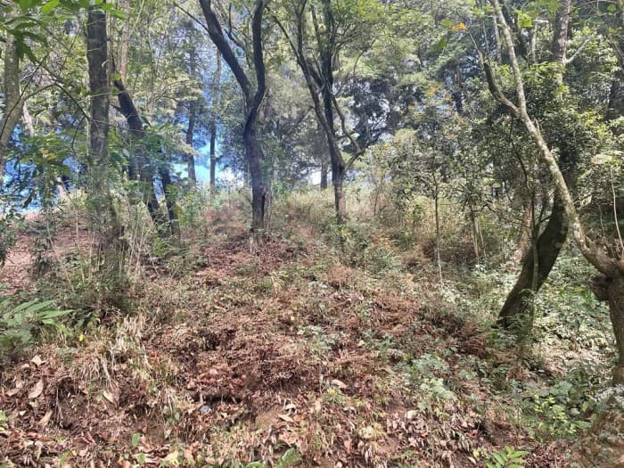 Terreno en Venta en Granja Buenos Aires - foto 4