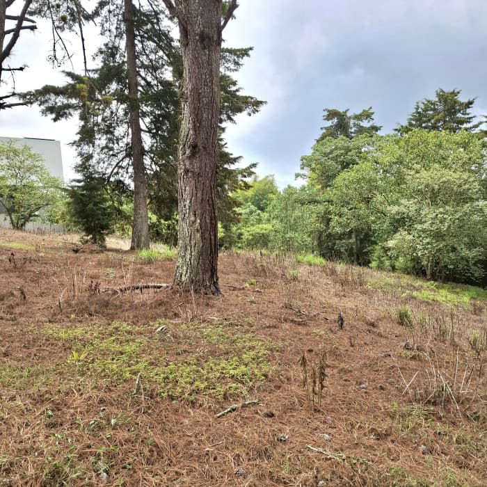 Terreno en Venta en Villa Ecuestre El Pulté Guatemala - foto 2