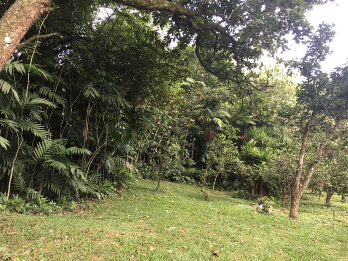 Terreno en venta Colonia trinidad zona 15 Guatemala - foto 2