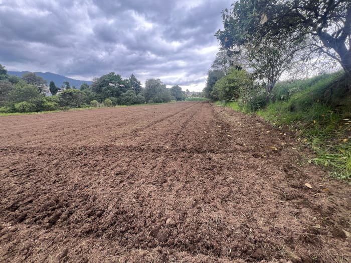 Finca en Venta de 8 Cuerdas en Quetzaltenango - foto 3