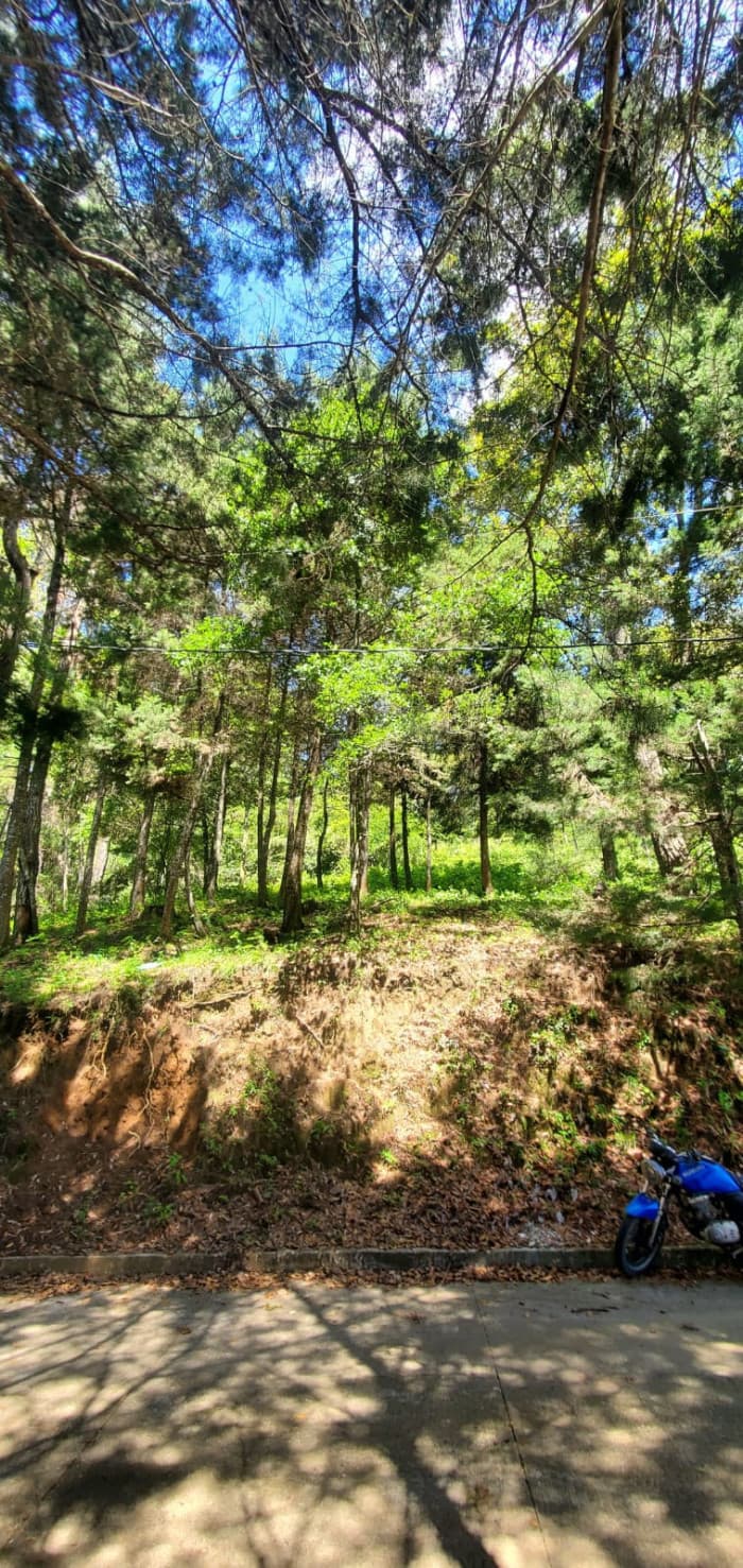 Rancho Verde Fraijanes Lote en venta - foto 2