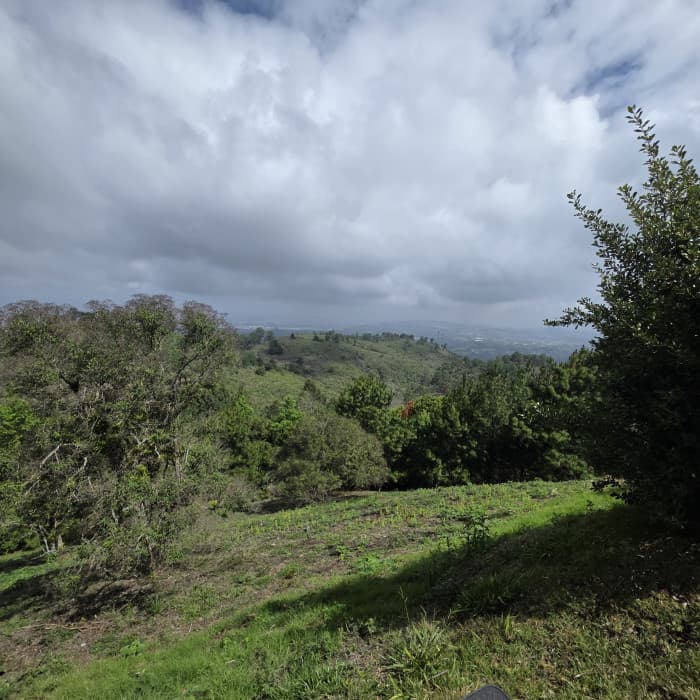 Terreno en venta en El Pulté zona 16 Guatemala - foto 4