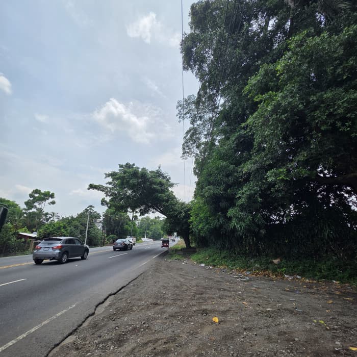 Terreno en Alquiler CA2 Carretera Siquinala - foto 2