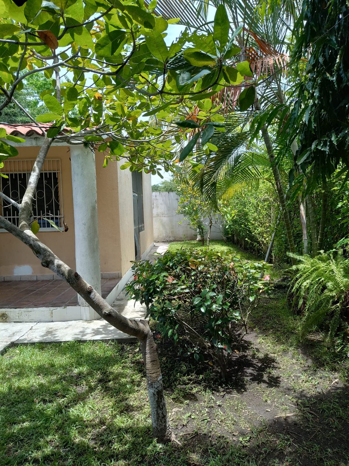 En Venta terreno en Escuintla Guatemala - foto 2