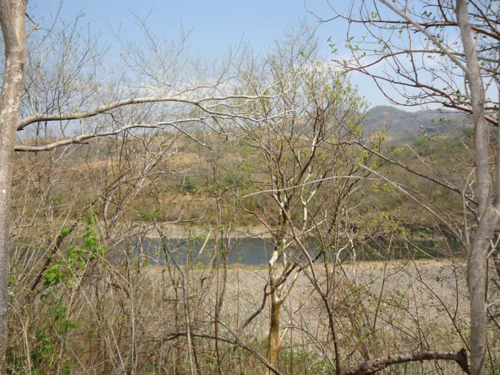 PROYECTO HIDROELECTRICO LA ANGOSTURA GUATEMALA-EL SALVADOR - foto 4