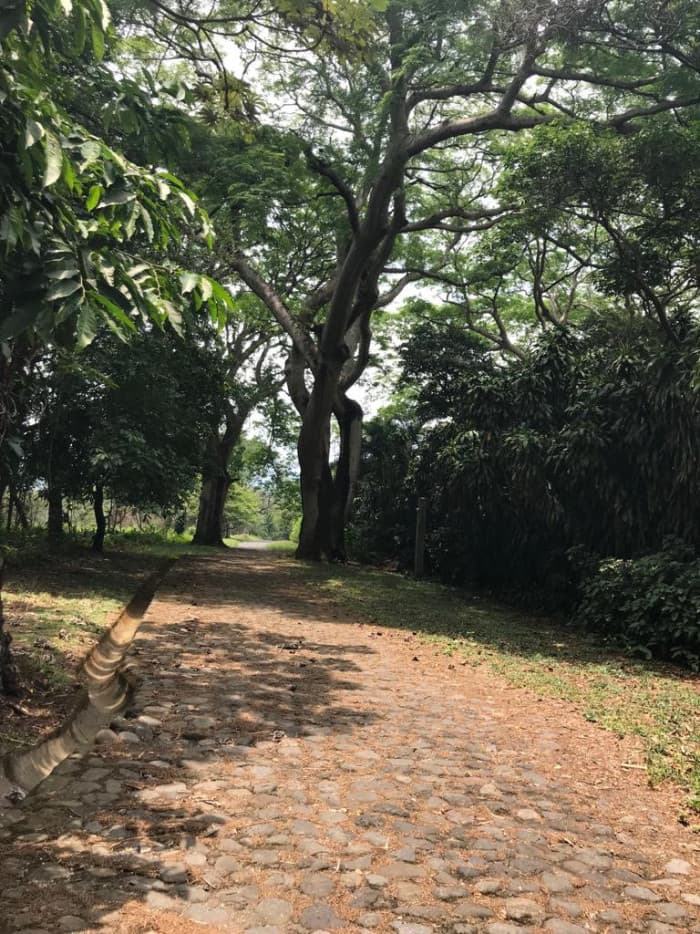 Terreno en Venta Campo Aventura Palin Escuintla - foto 3