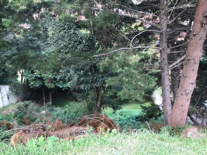 Terreno en Venta Bosques de las Luces Guatemala - foto 3