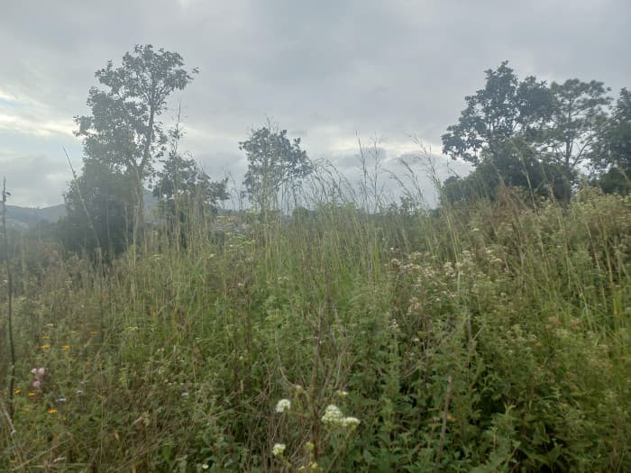 Terreno Comercial área San Pedro Ayampuc - foto 3