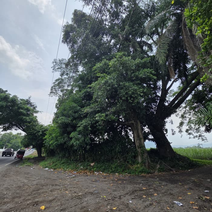 Terreno en Alquiler CA2 Carretera Siquinala - foto 3