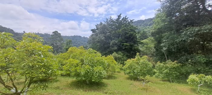 Terreno 1 manzana en venta en Santiago Sacatepequez - foto 4