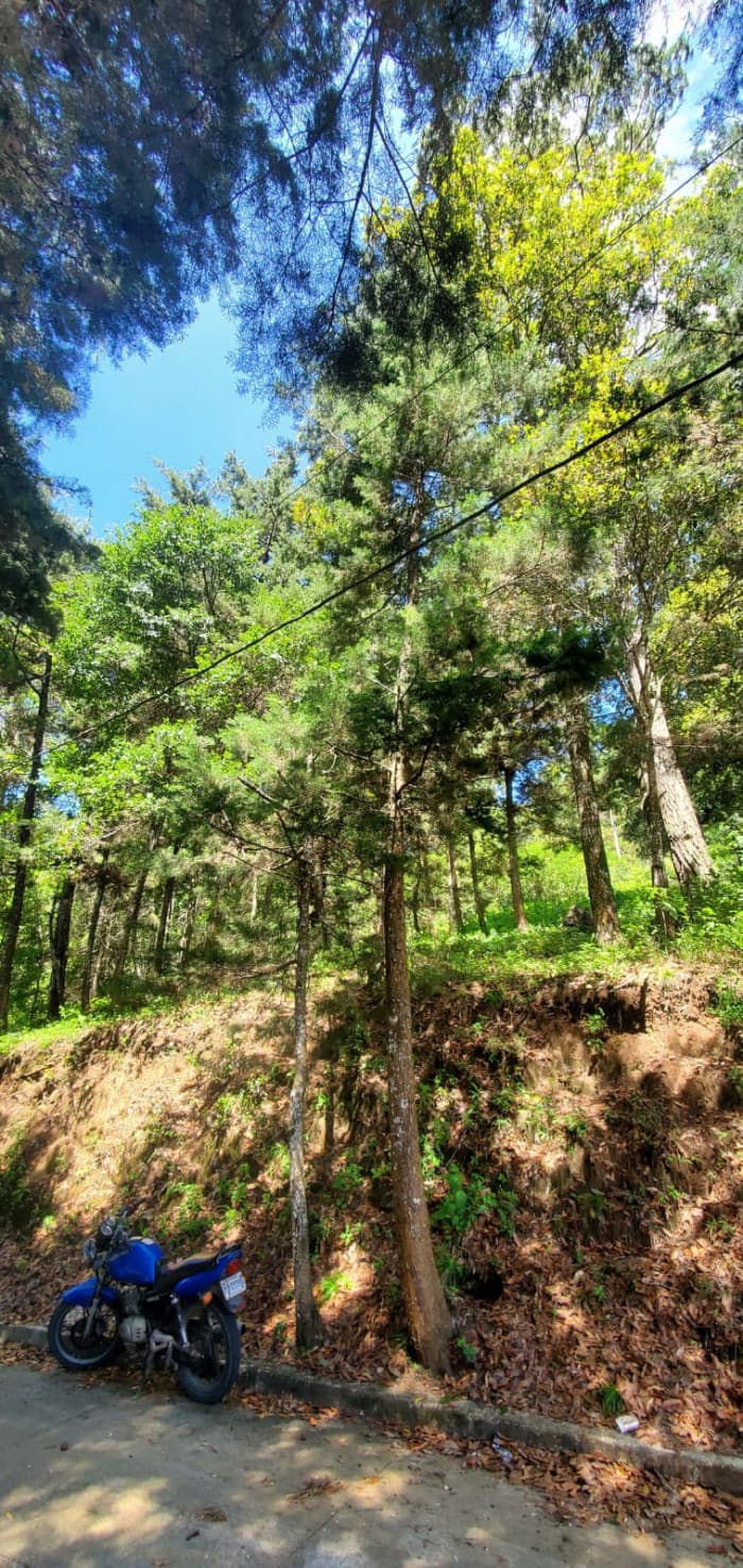 Rancho Verde Fraijanes Lote en venta - foto 4