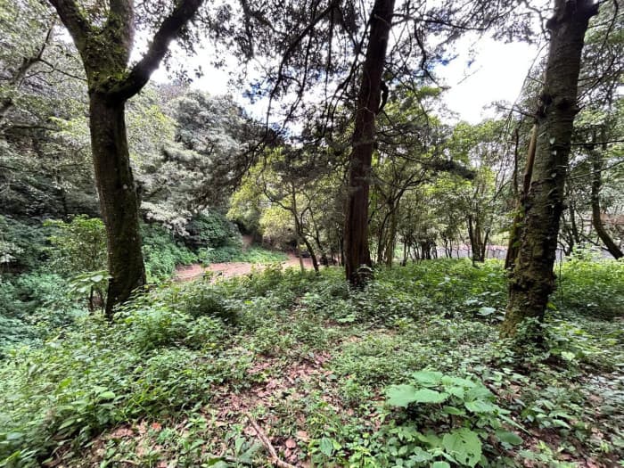 Terreno en Venta en Choacorral San Lucas Sacatepequez - foto 3