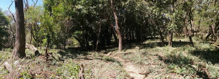 Terreno en venta dentro Residencial Premier Campestre. - foto 3