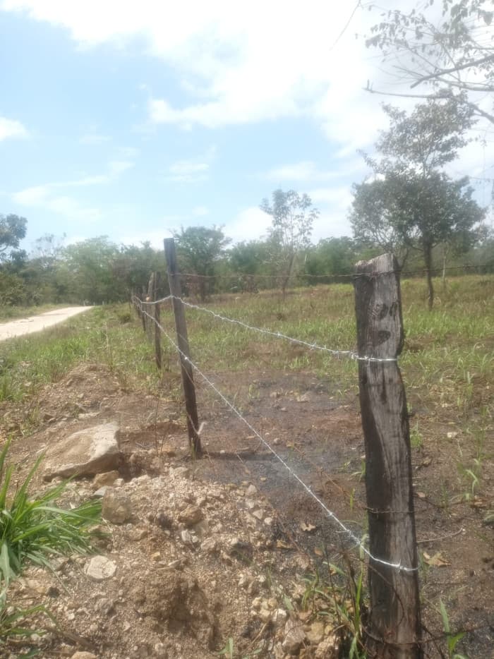 Terreno comercial en venta en Santa Ana Peten  - foto 3