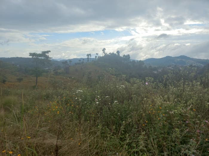 Terreno Comercial área San Pedro Ayampuc - foto 2