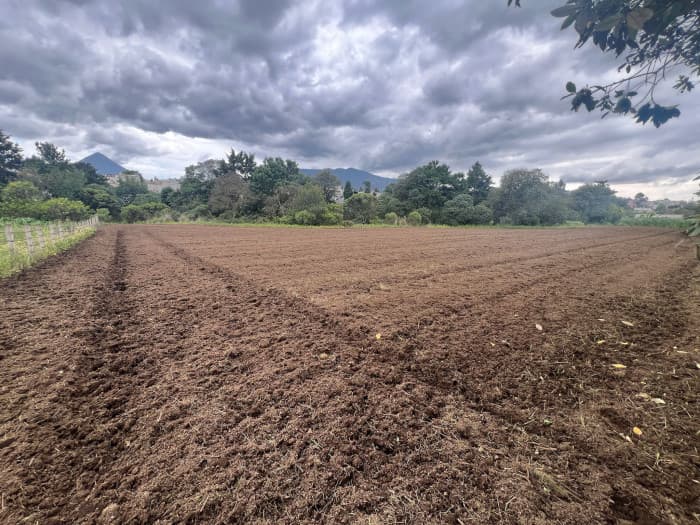Finca en Venta de 8 Cuerdas en Quetzaltenango - foto 4