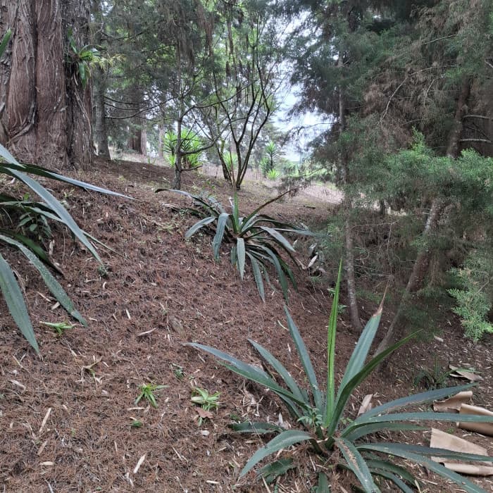En Venta Terreno en Villa Ecuestre El Pulté Guatemala - foto 2