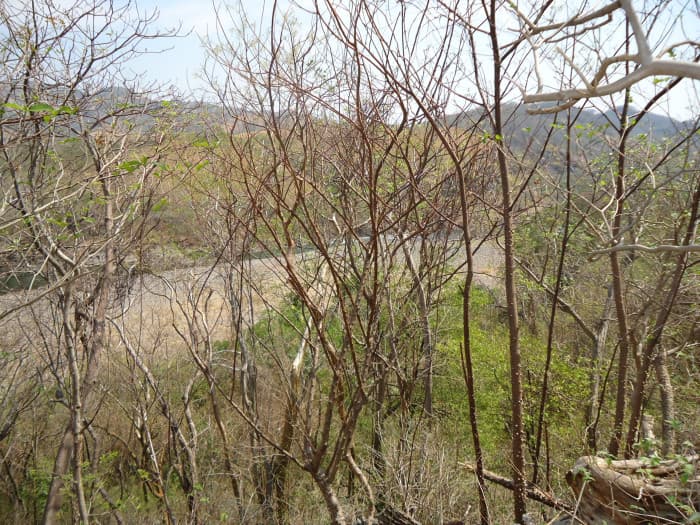 PROYECTO HIDROELECTRICO LA ANGOSTURA GUATEMALA-EL SALVADOR - foto 2