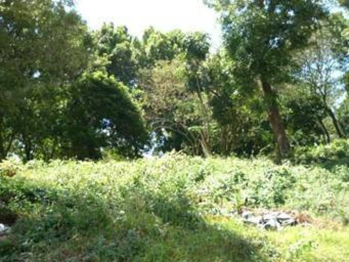 TERRENO en Fraijanes PARA VENTA, Carretera El Salvador - foto 2