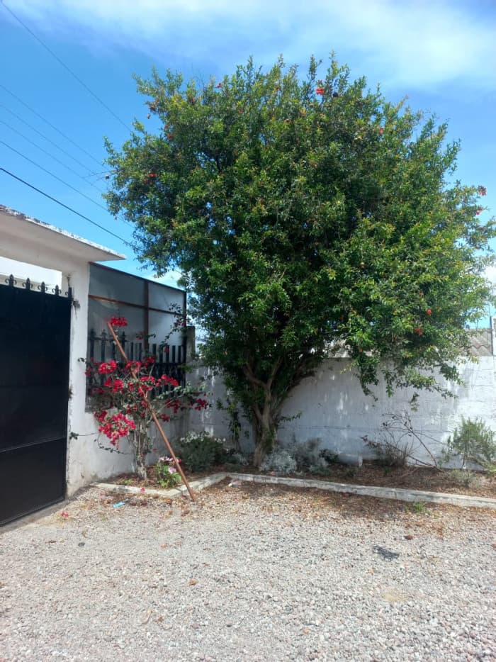 Casa en Venta en Z.5 Xela en Quetzaltenango  - foto 3