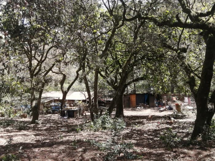 Finca en venta en San Lucas Sacatepéquez - foto 4