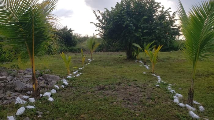 Quintas la Ponderosa lote en venta km 77 Escuintla - foto 3