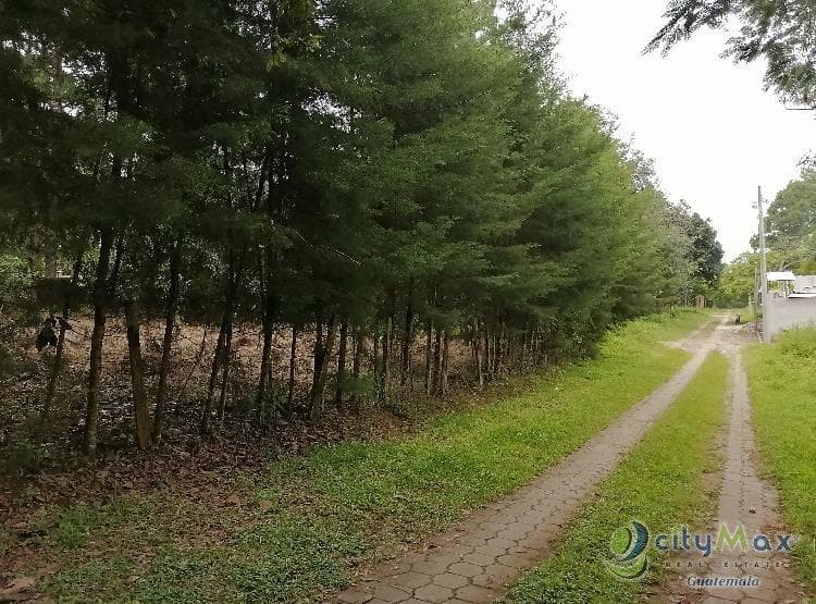 Terreno En Venta Los Horizontes Santo Domingo Xenacoj - foto 4
