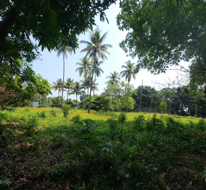 En Venta finca +40Mil Varas en el Km. 78 Ruta CA-2 - foto 4