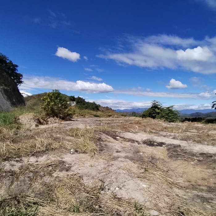 Terreno Comercial en Carretera Al Atlántico Palencia - foto 3