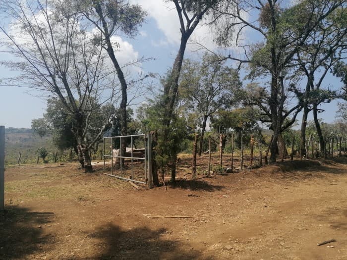 Vendo Terreno para desarrollo en Carretera El Salvador - foto 2