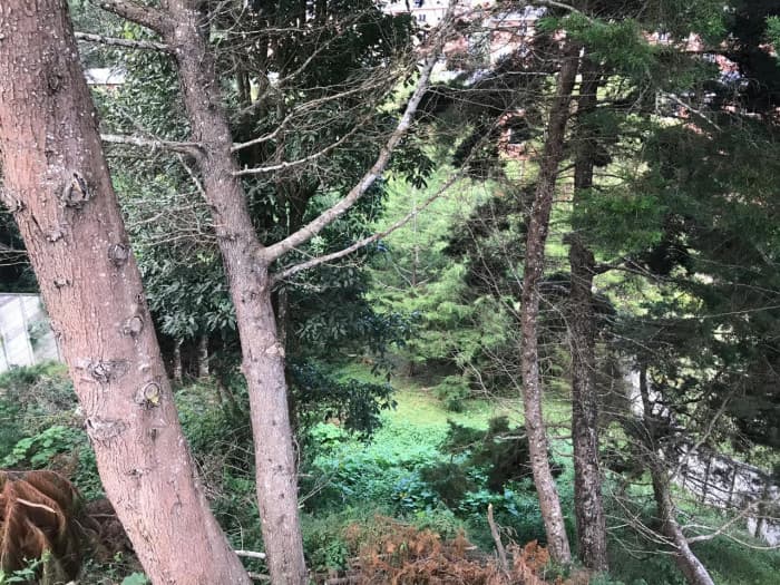 Terreno en Venta Bosques de las Luces Guatemala - foto 4