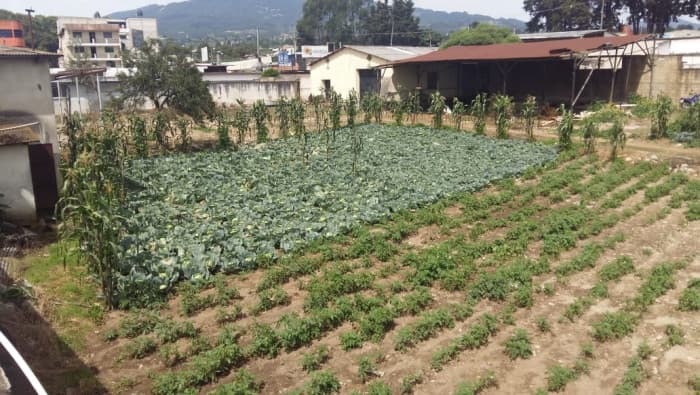 TERRENO en VENTA Ideal Inversionistas en Quetzaltenango - foto 4