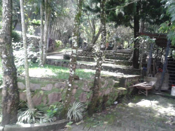 En venta terreno en zona 15 Colonia Trinidad - foto 4