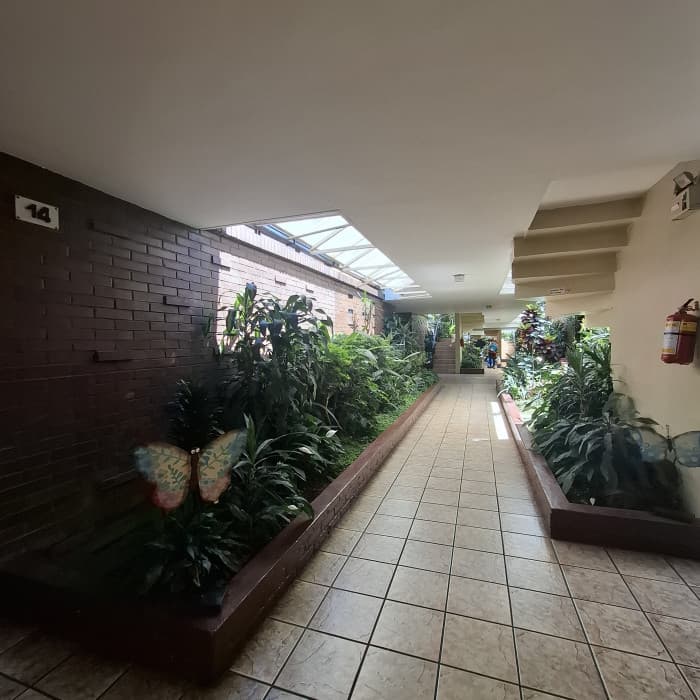 Casa en renta en zona 10 Bulevar Los Próceres - foto 4