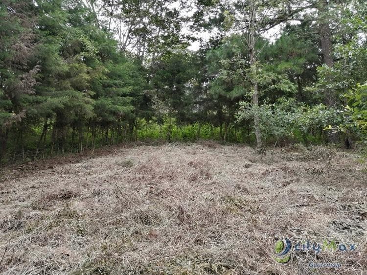 Terreno En Venta Los Horizontes Santo Domingo Xenacoj - foto 2
