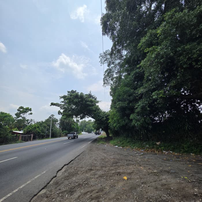 Terreno en Alquiler CA2 Carretera Siquinala - foto 4