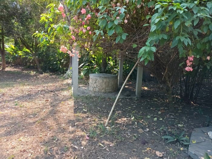 ALQUILO PREDIO EN EL PUERTO DE SAN JOSE, ESCUINTLA  - foto 4