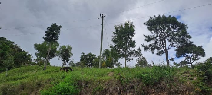 Terreno Fase en Mirador San Antonio La Paz El Progreso - foto 1