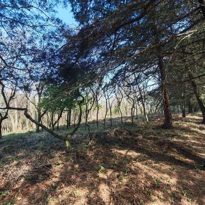 Casa & Campo Terreno en Carretera El Salvador en Venta - foto 1