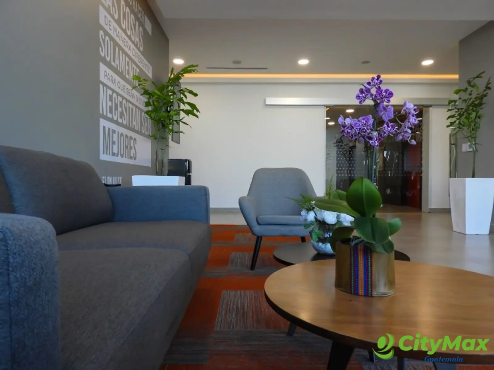 EDIFICIO INSIGNE OFICINAS EN ZONA 15 - foto 6